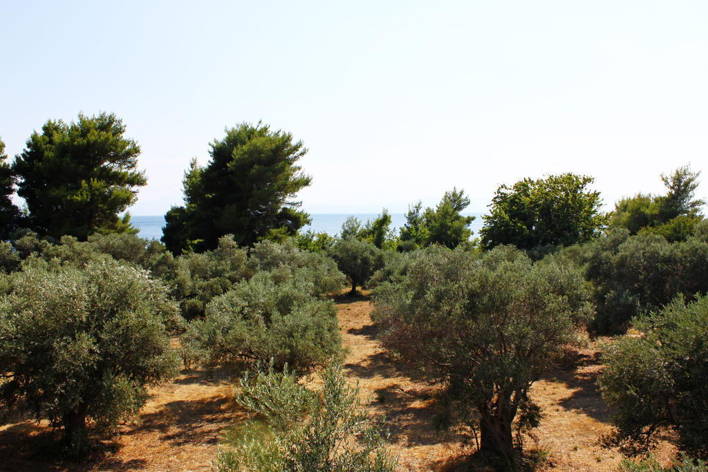 Sungate Beach Roviés Rom bilde